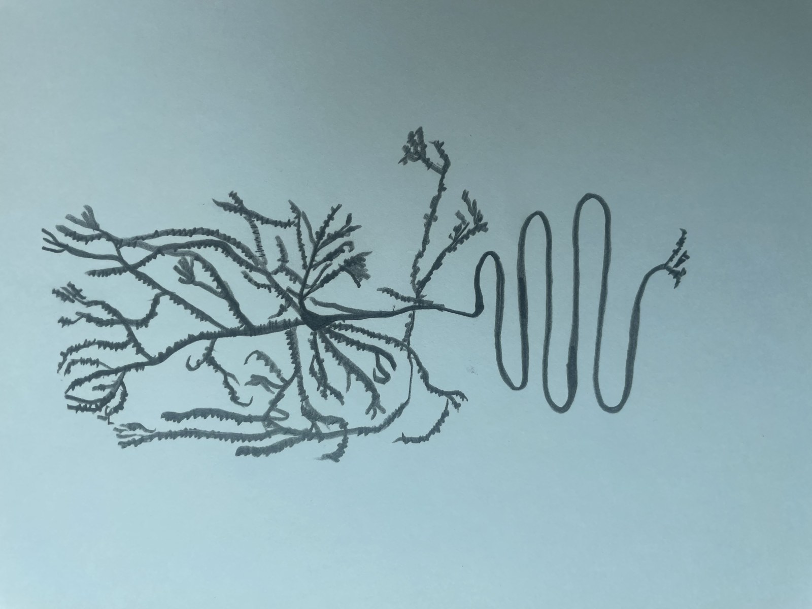 신경세포