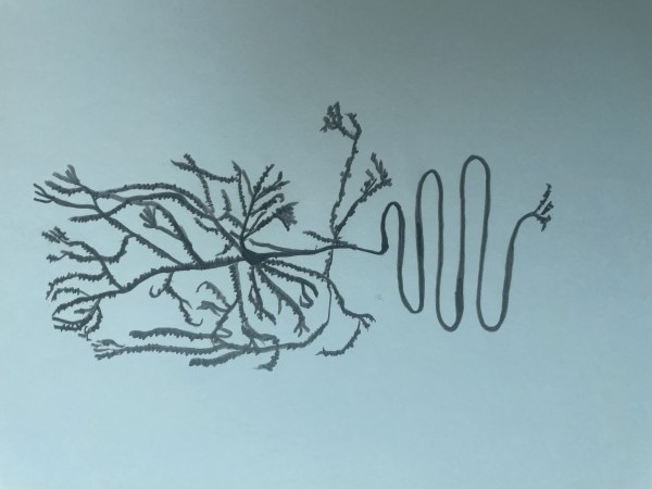 신경세포